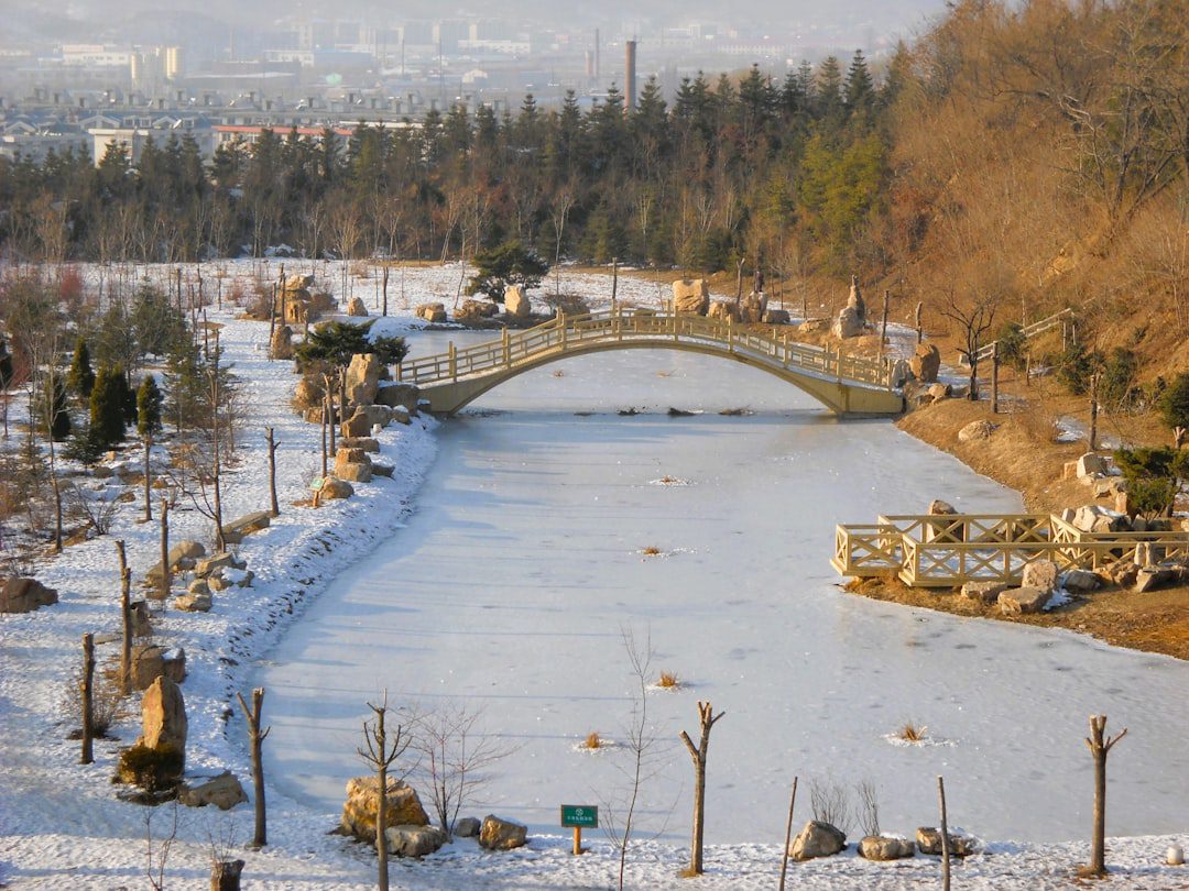 What Makes Harbin Unique? A Practical Guide to Regional Differences in Northeast China